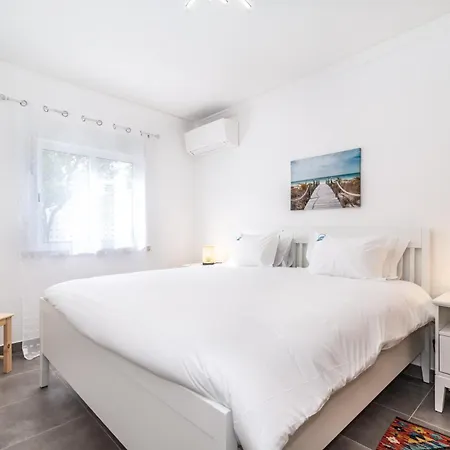 Birdsong Serenity Awaits You Tavira